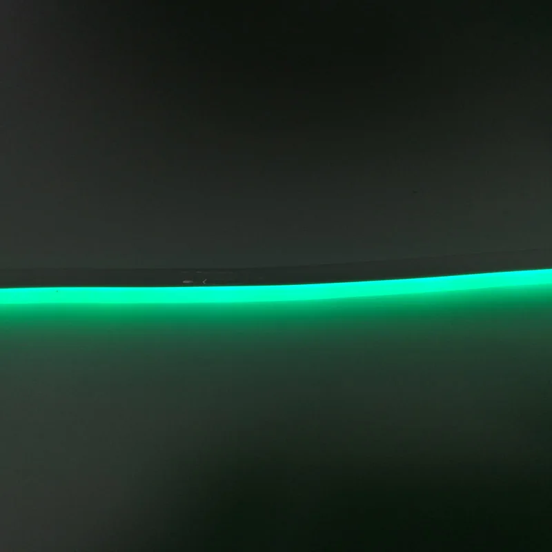 220v neon strip green