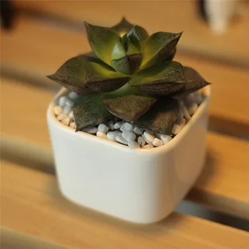 

Simple white creative Mini desktop small square Zakka fleshy ceramic flower pot planter container garden bonsai