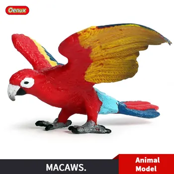 

Oenux Original Classic Bird Animal Parrot Simulation Macaws Model Action Figure Home Decor Miniature Garden Figurine Toys Gift