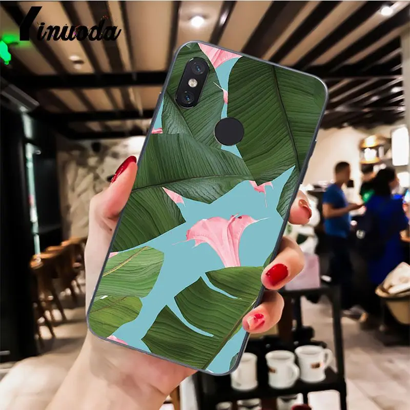 Palm tree Leaves pattern  
