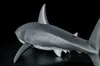 1/12 Scale Great 58cm White Shark Figure Dinosaurs Model Art Standard Ver EDAGE 2