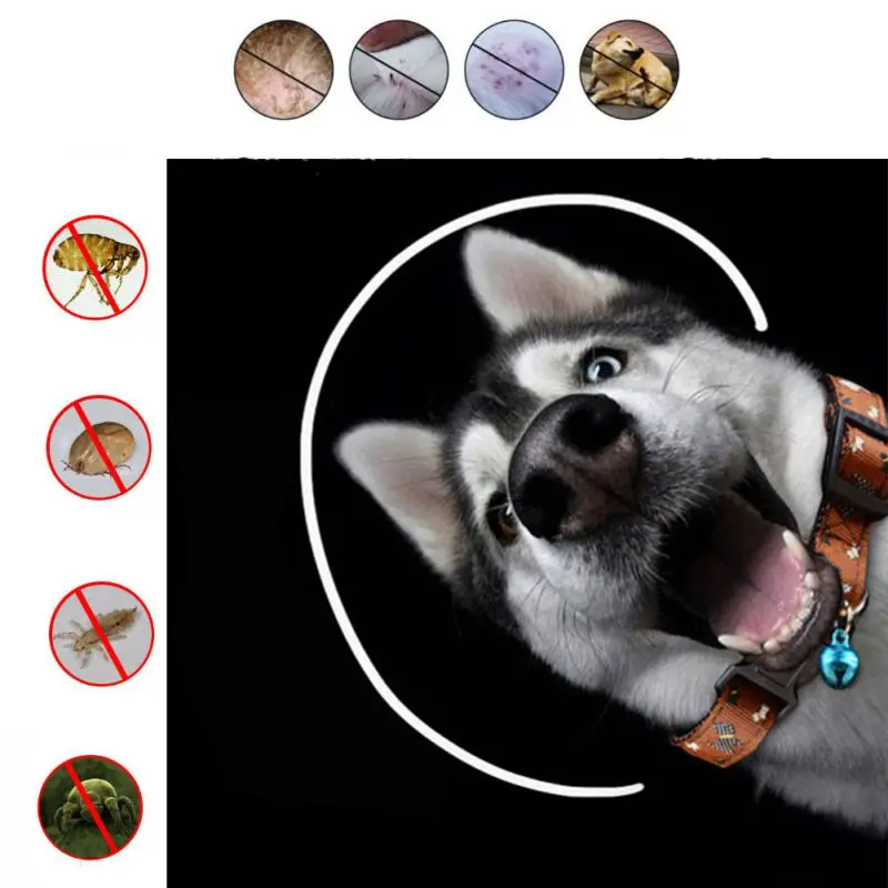 

Pest Fleas Control Reject Collars Pets Dog Cat Anti-Flea Solid Neck Collar Bells Puppy Summer Outdoor For Small Dogs Supplies