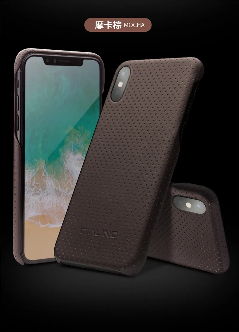 for iPhone X case Luxury (16)