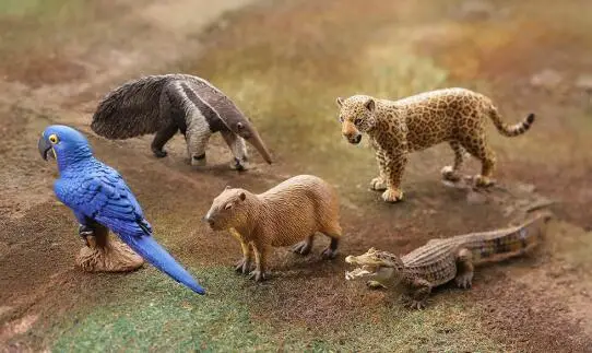 5 шт./компл. животные попугай Леопард Аллигатор Anteater милые цифры Коллекционная