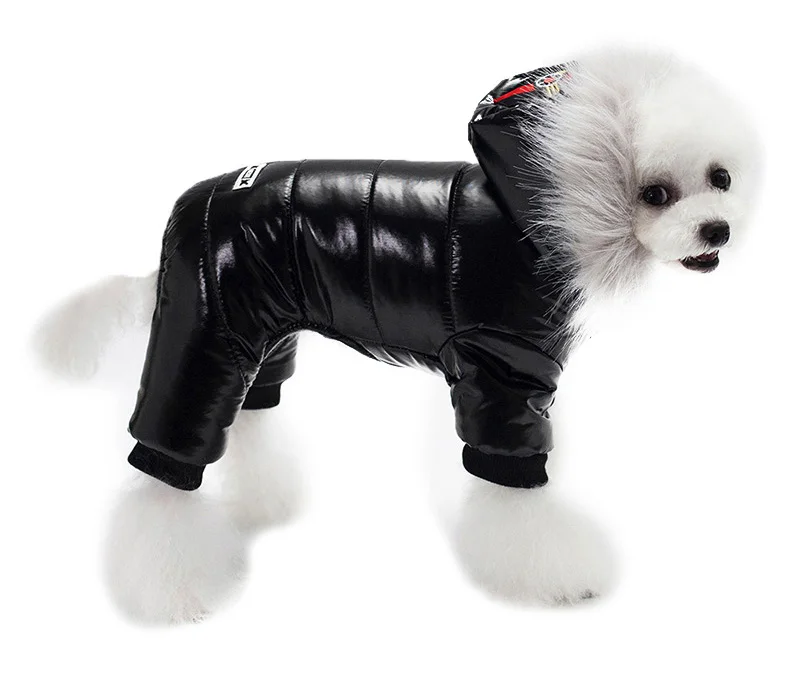 HTB19ImVdjfguuRjSspkq6xchpXad