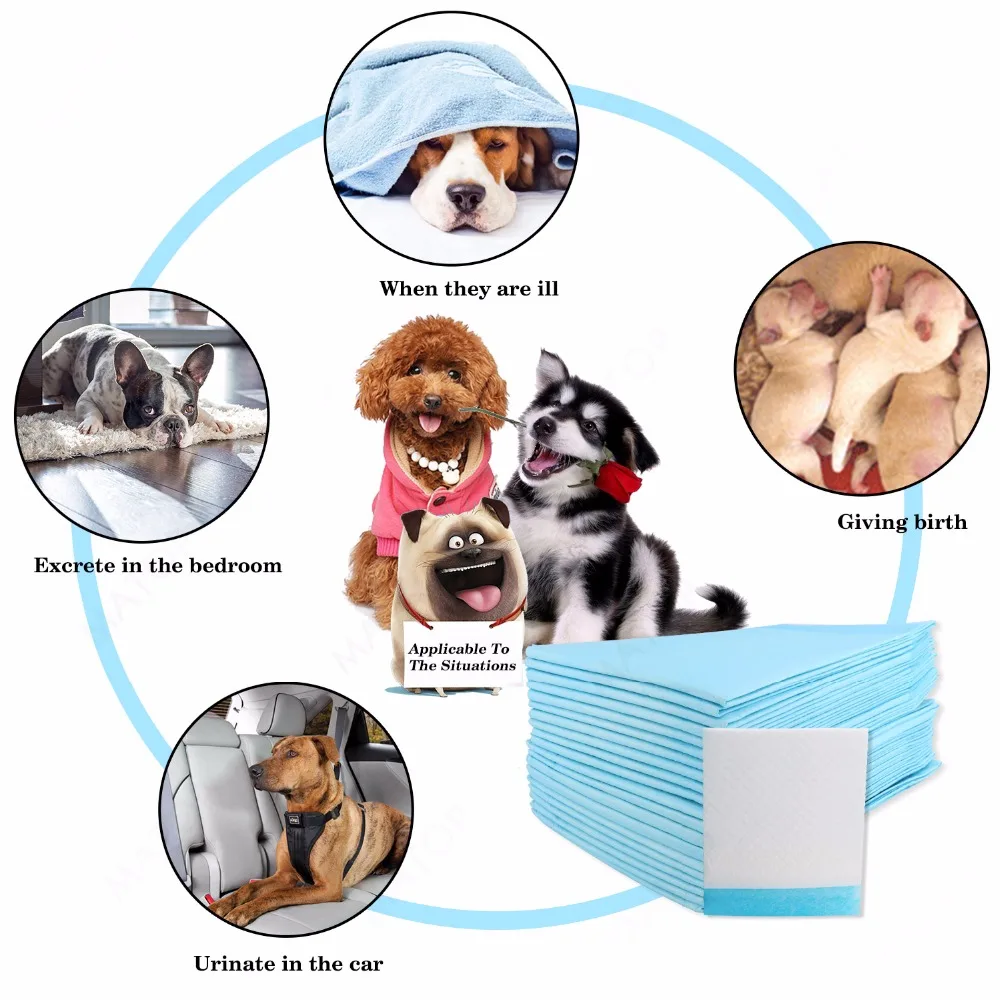 dog urine pad (8)