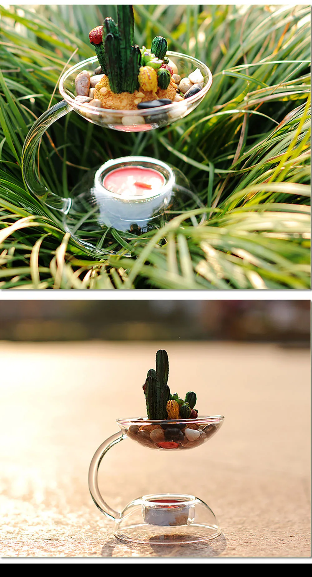 3244254786_1739714703