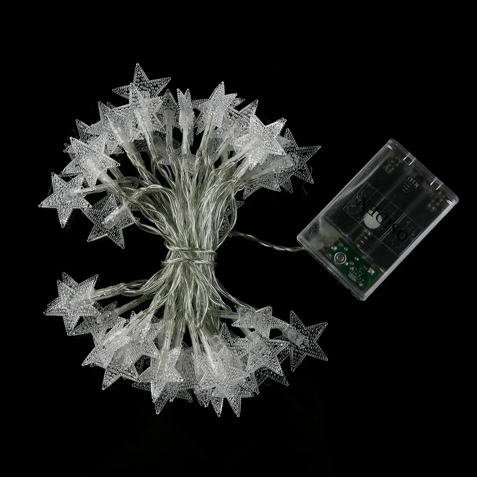 262A9531