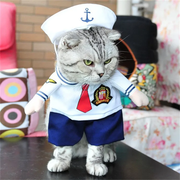 Costume (2)