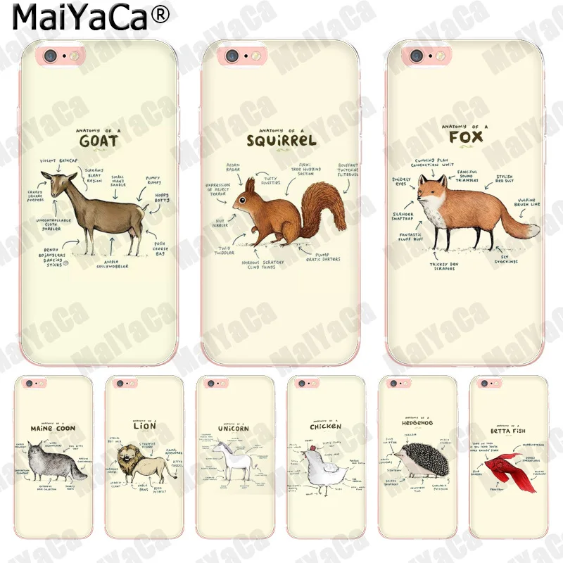 Anatomy of a Fox iphone 11 case Anatomy of a Fox iphone 11 case