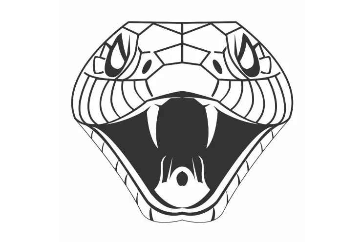 голова змея как открыть. королевская кобра черная змея. змеиная голова. королевская кобра и кобра. голова змея геншин импакт головоломка.