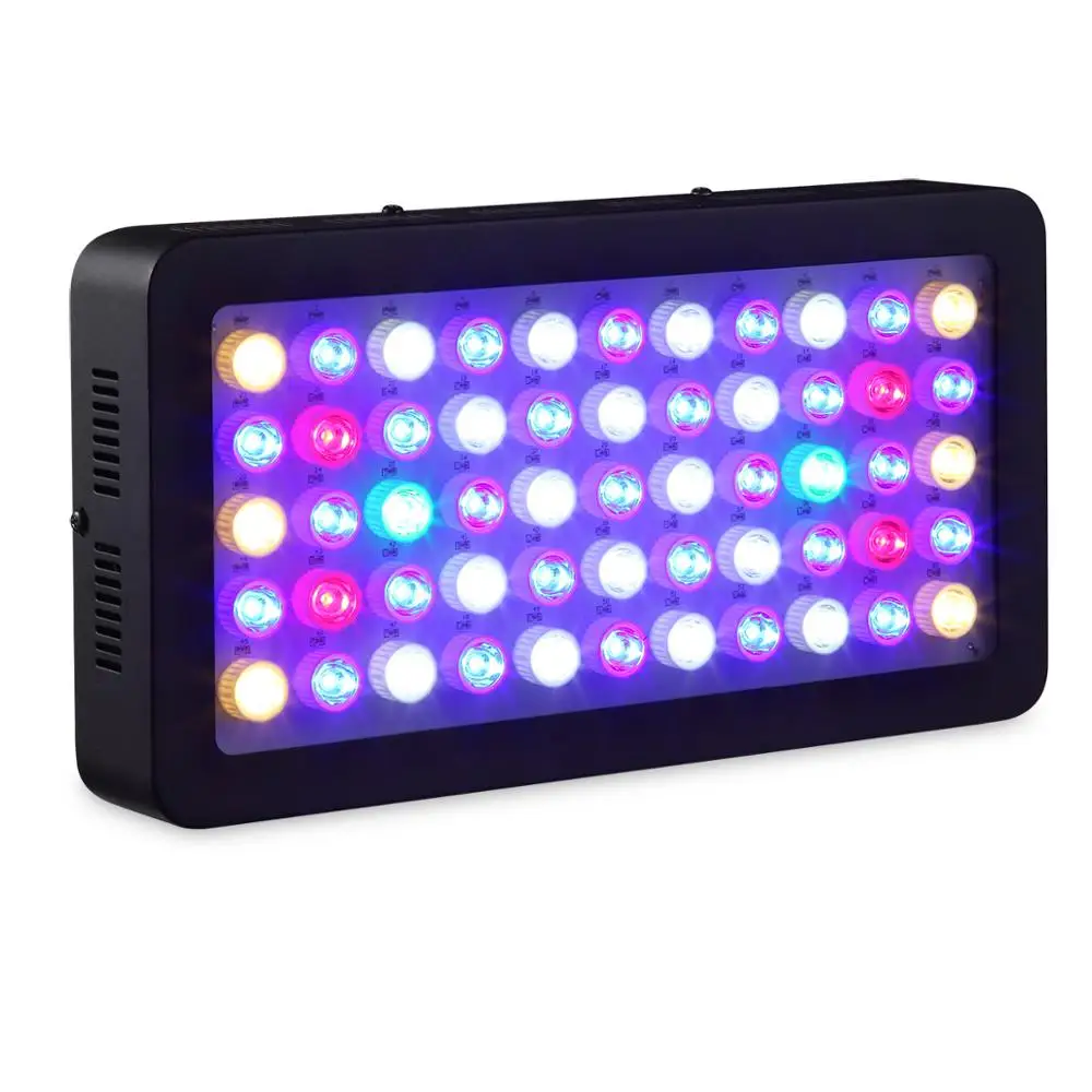 55x3W Dim Aqu-1