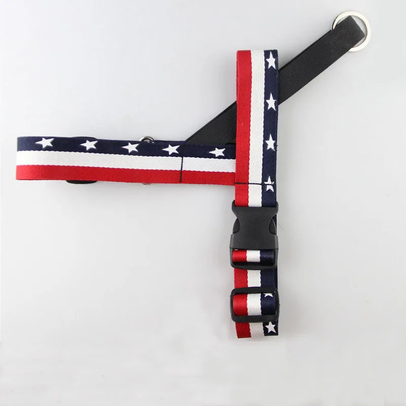 dog leash (3)