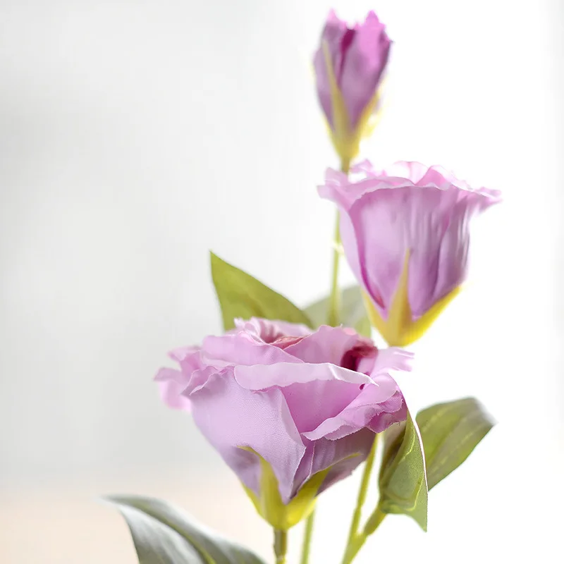 3 ветви 70 см Искусственный цветок тригемоны Эустома цветок дома искусственный цветок для декорирования свадебный цветок шелк Эустома - Цвет: Сливовый