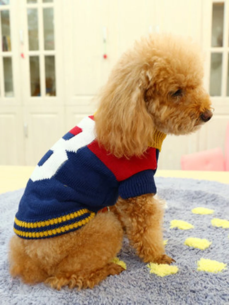 sweter dla psa (6)