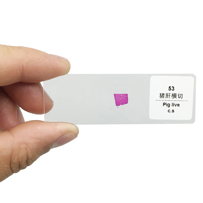 MS-100A-05