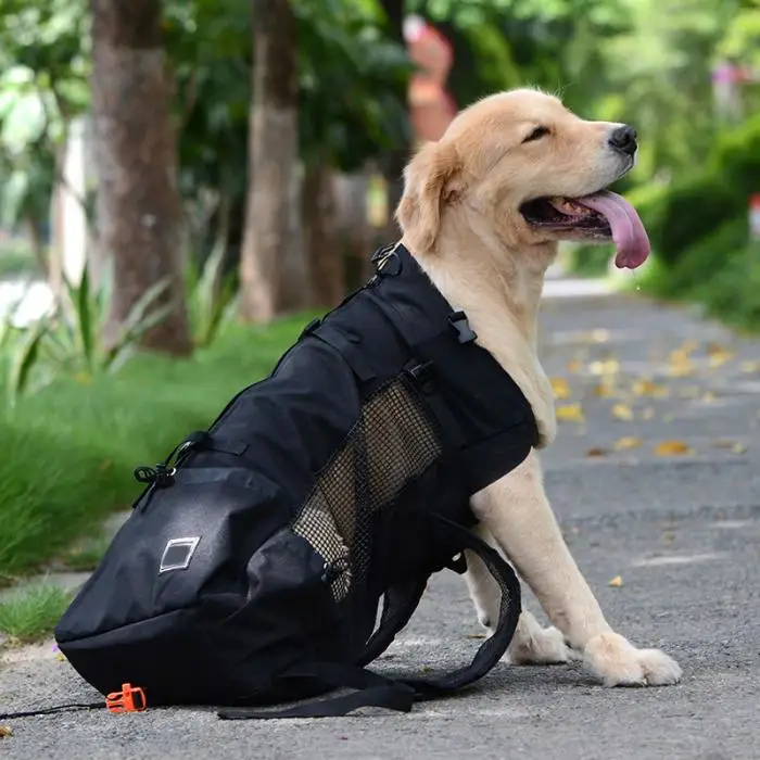 Горячая Удобный рюкзак для домашних животных собак кошачья переноска Щенок Открытый бейсболка для езды и походов Сумка-тоут для