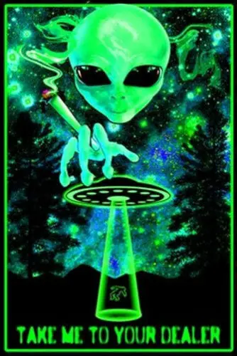 

TAKE ME TO YOUR DEALER SILK POSTER Decorative Wall painting 24x36inch