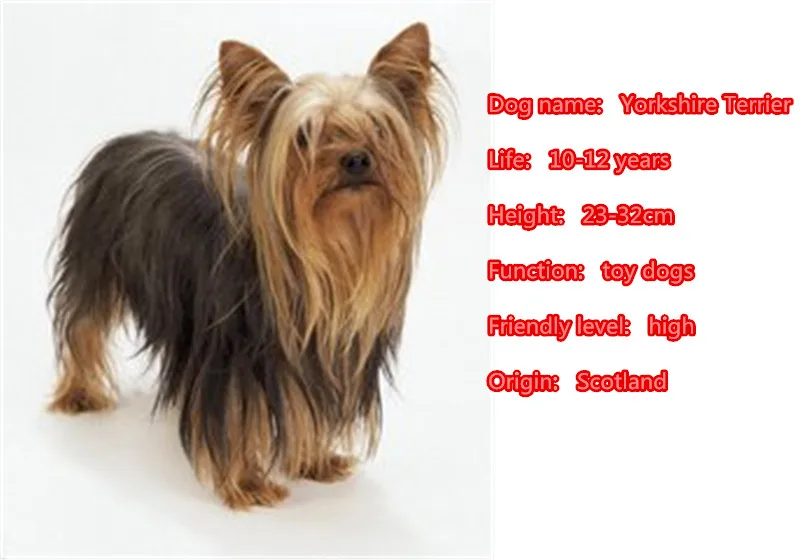Yorkie Yorkshire Terrier Dog Briefcase Heart Love Metal Keychain