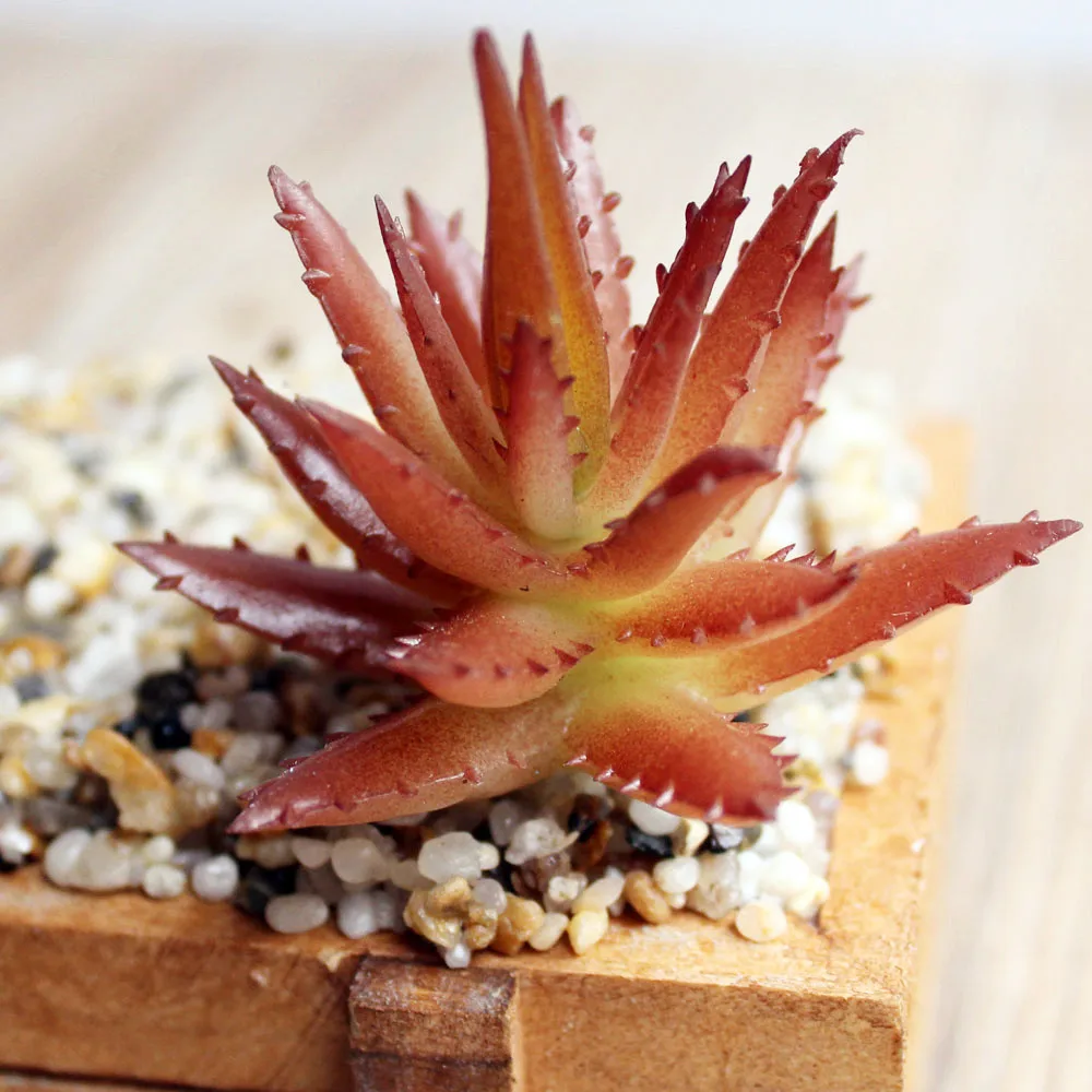 1Pc Red Plastic Assorted Decorative Artificial Succulents Bulk Plants Faux Miniature Fake Mini Desert Succulents For Garden