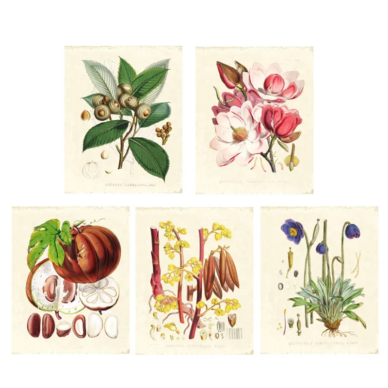 Green-plants-set-of-5-Vintage-Botanical-illustrations-floral-art-prints-HD-printing-Flower-Wall-Art (3)