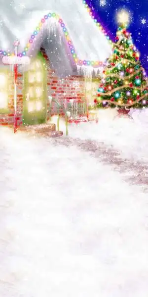 

Snowy Christmas 10'x20' CP Computer-painted Scenic Photography Background Photo Studio Backdrop DT-LP-0112