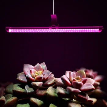 

30CM 5W 24Leds Red:Blue(2:1) Led Tube growth light indoor lamp Greenhouse Vegetable Flower Indoor Plant Tent with EU/US Plug