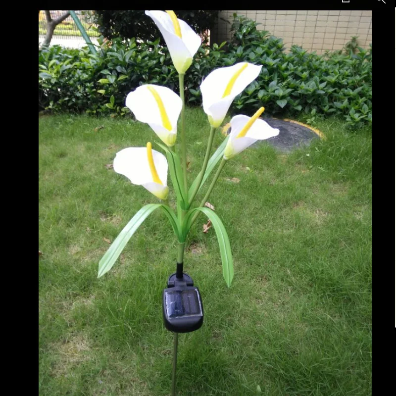 4102267690_196694924