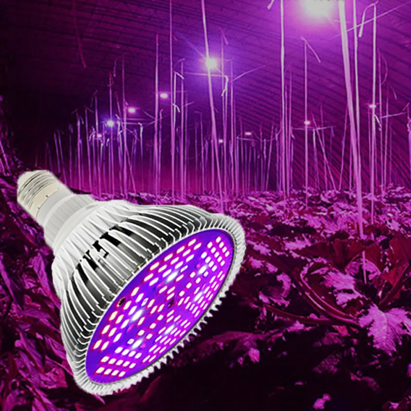 

Grow Light Fitolamp Fitolampy Lamp For Plants 50W 80W Fito Led Phyto Lamp For Seedlings Flowers Full Spectrum Growth Light Bulbs