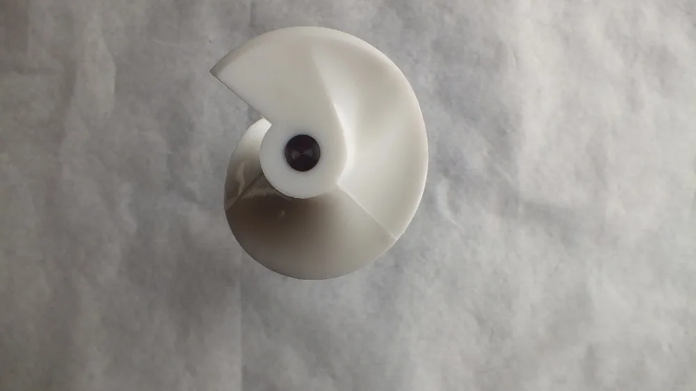 DSCF5356