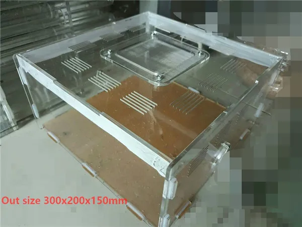 

Ant Acryl Nest Farm Pet Insect Ant Nests Villa Pet House Extend Active Zone Transparent 6 Size For Student Scientific Class Use