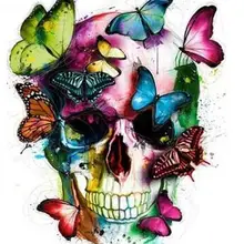 5806 Бабочка череп-краска комплекты номеров для взрослых DIY