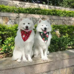 2019 Новый хлопковый шарф для собак бандана Pet для ухаживания за собакой шейный платок Регулируемый треугольный шарф Рождественский подарок