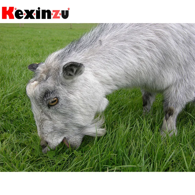 

kexinzu Full Square/Round 5D Diy Diamond Painting Cross Stitch "Animal Sheep" Diamond 3D Embroidery Mosaic Home Decor Gift K75