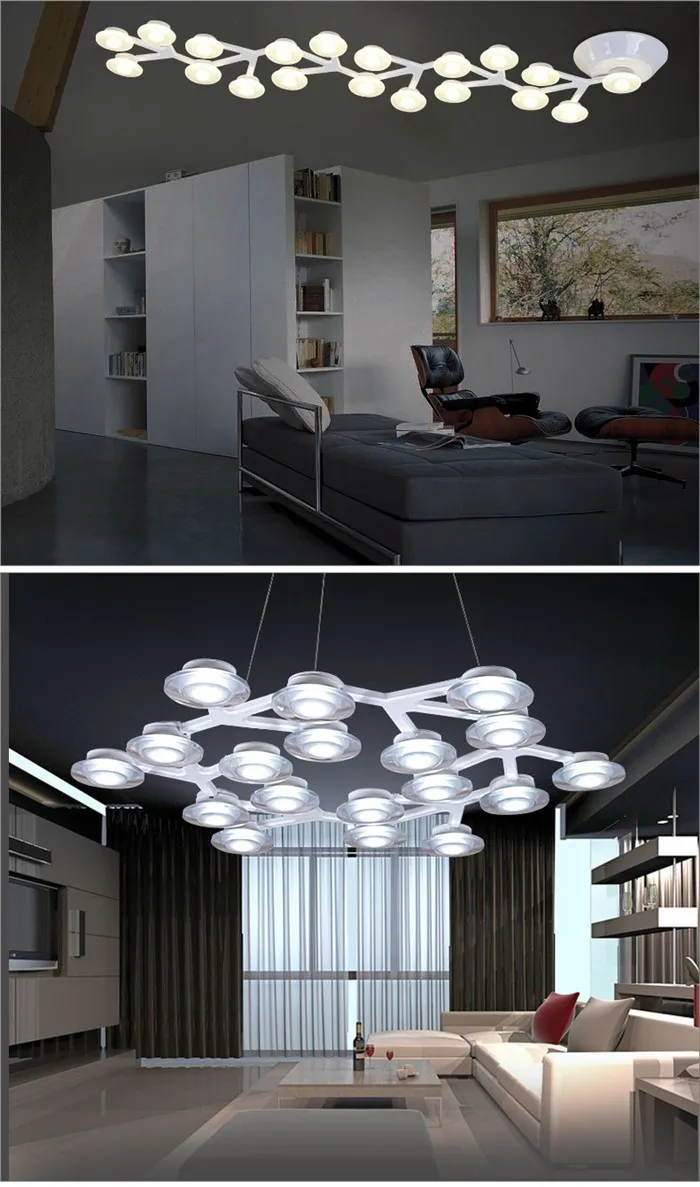 HTB1czjhHXXXXXXjXXXXq6xXFXXXV