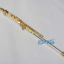 Расширенный 16 открытый Флейта с отверстиями C Ключ+ E золотые пластины ключи с серебряной пластиной корпус