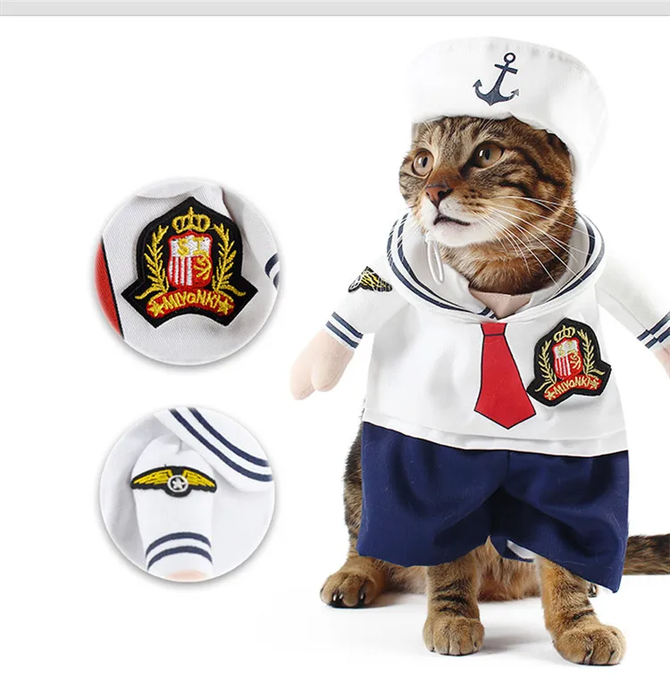 déguisement matelot pour chat