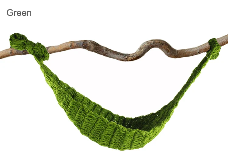 4218084781_827780668