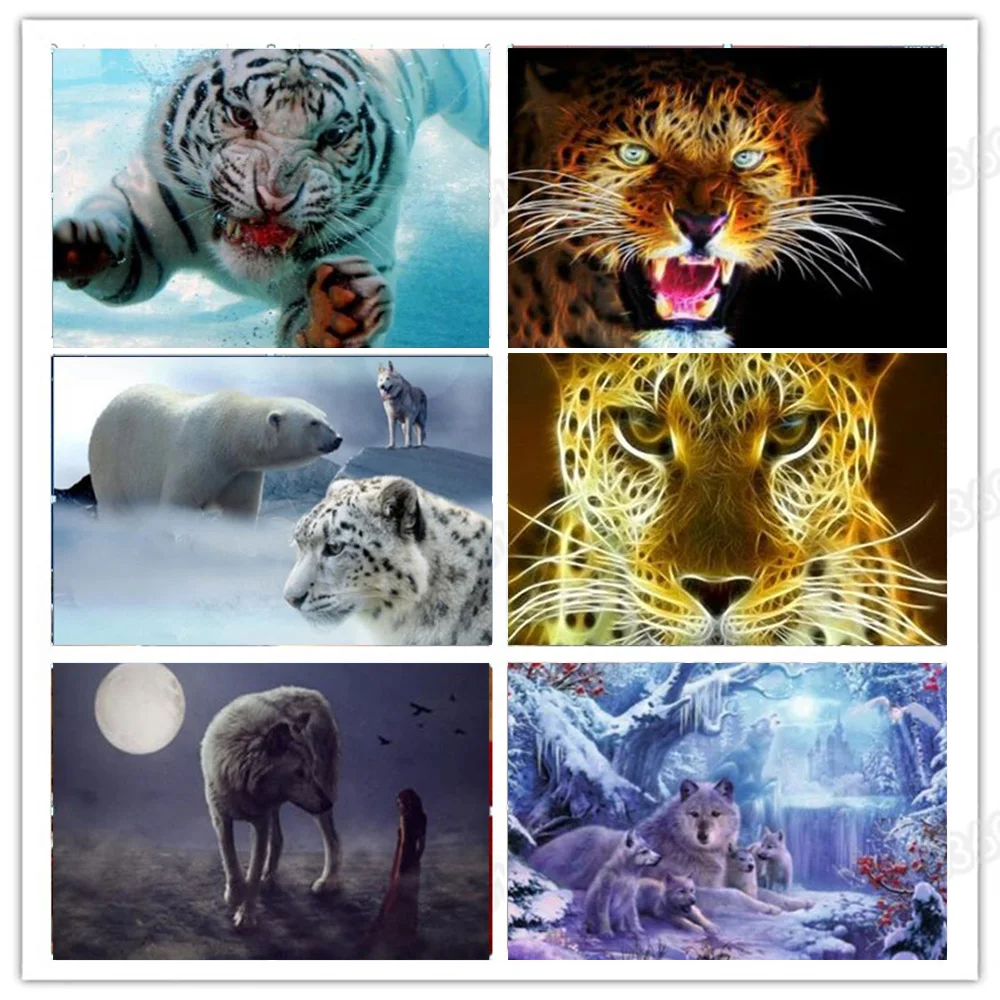 animal tiger wolf lopard group