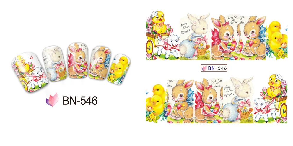 BN546