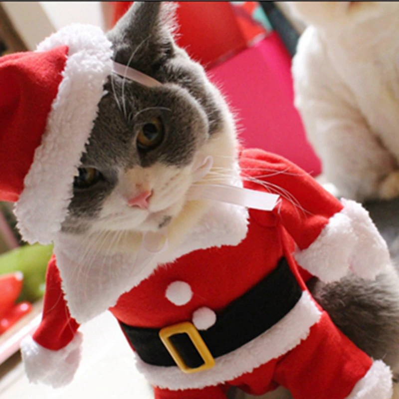 [MPK cat costumes] костюм кошки Санта Клауса! Милый Санта! Красный Санта-Клауса одежда для домашних животных, котов, пальто одежда в рождественском стиле костюм