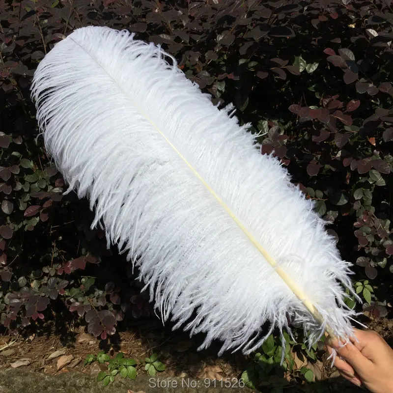 Free shipping / 10PCS 60 65cm 24 26 inches mixed color natural OSTRICH