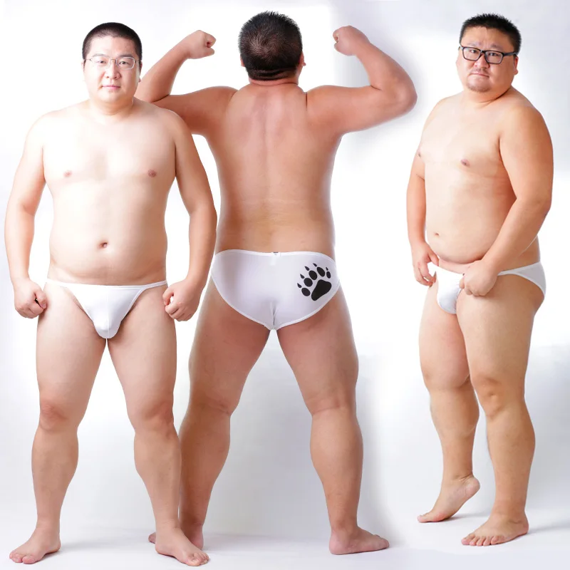 New Arrival 2016 Bear Claw Plus Size Men's Translucent Briefs Sexy Shorts Gay Bear Proud Transparent Underwear White M L XL XXL