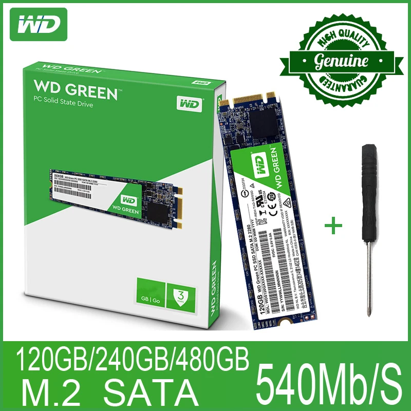 Wd Green Pc Ssd 240gb 480gb Internal State Drive Disk M.2 Sata 2280 540mb/s 120g 240g Computer Laptop Pc - Solid State Drives - AliExpress