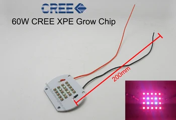 

60W Cree XPE XP-E Led Emitter Bulb Red(16PCS)+ Blue(4PCS) Mix Color Multichip Plant Grow Light DIY Emitter 25-27V 350mA~1800MA