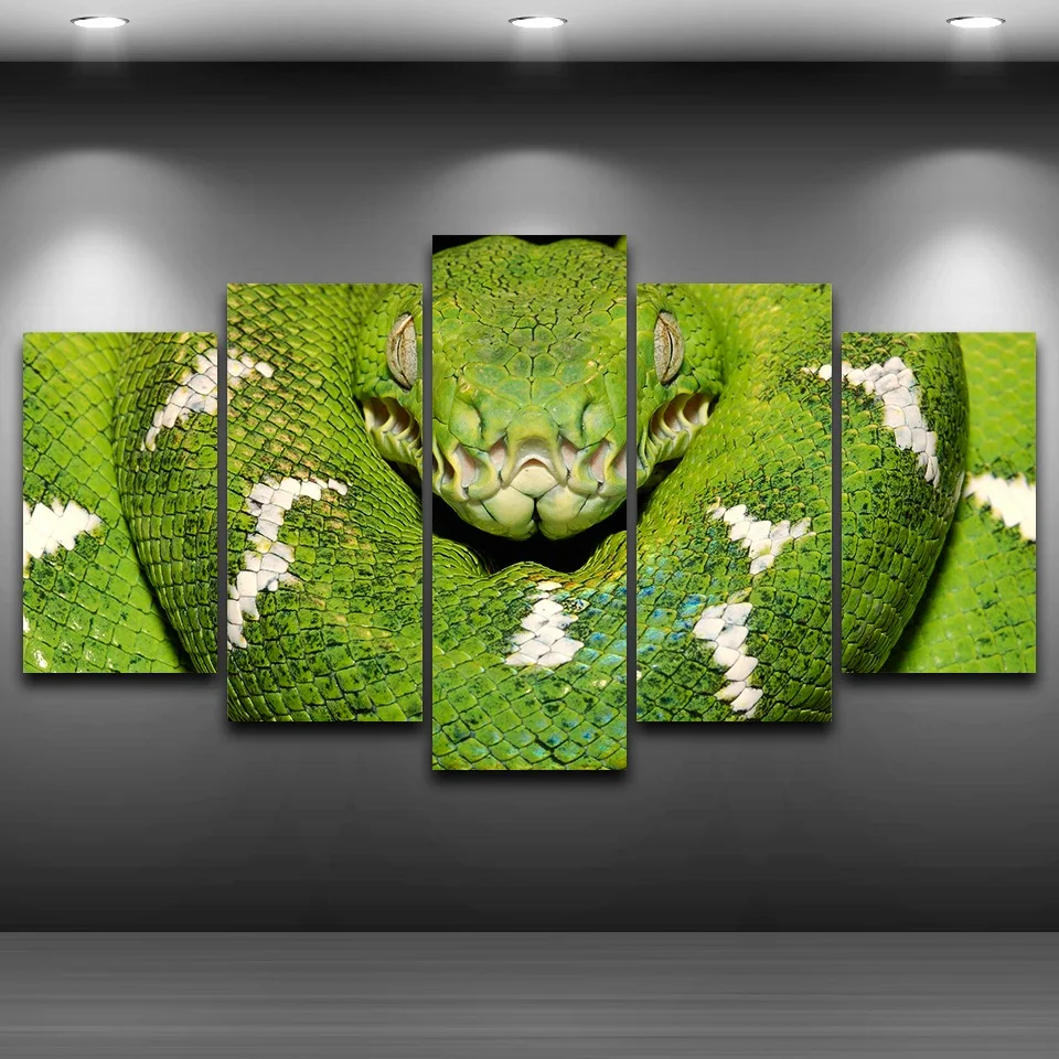 

Hot koop 5d diy diamant schilderen kruissteek Slang ogen volledige diamond borduurwerk steentjes schilderen