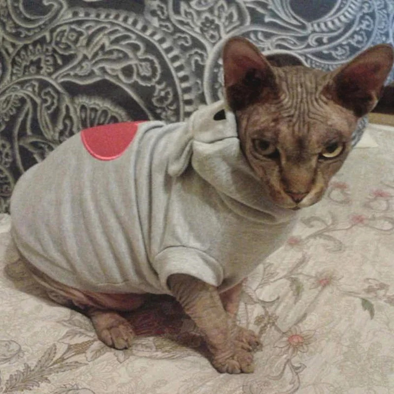 UTB83QyYc_zIXKJkSafVq6yWgXXaQ_