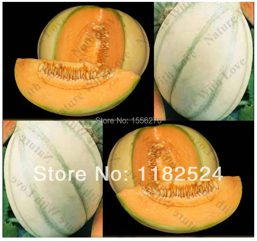 Сочные и сладкие 50+ Heirloom Charentais Cantaloupe semillas~ rganic дыни фрукты sementes