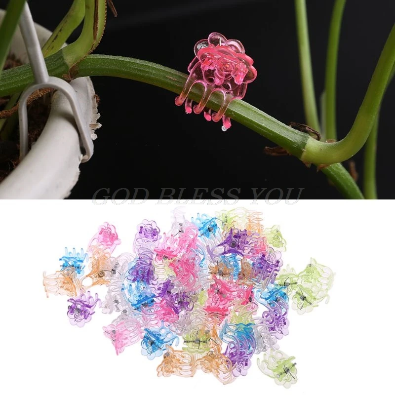 

60Pcs Plastic Plant Fix Clips Orchid Clips Garden Support Clips Orchid Grower Flowers Fruit Vine Support