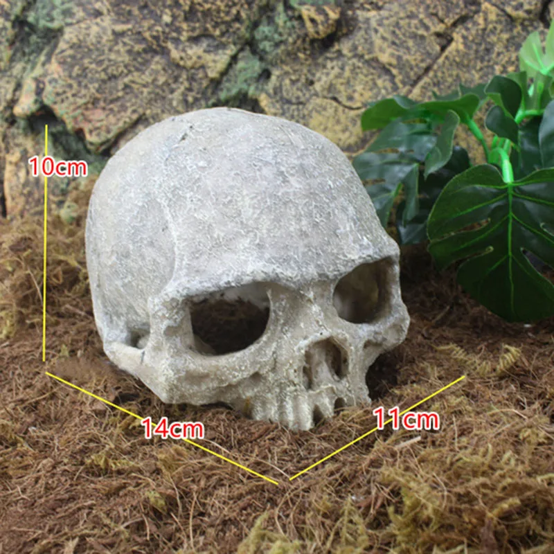 

Skull Aquarium Decoration Terrarium Reptile Fish Tank Ornament Simulation Landscape Store